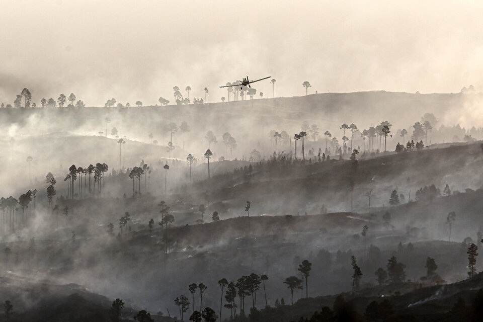  (Fuente: AFP)