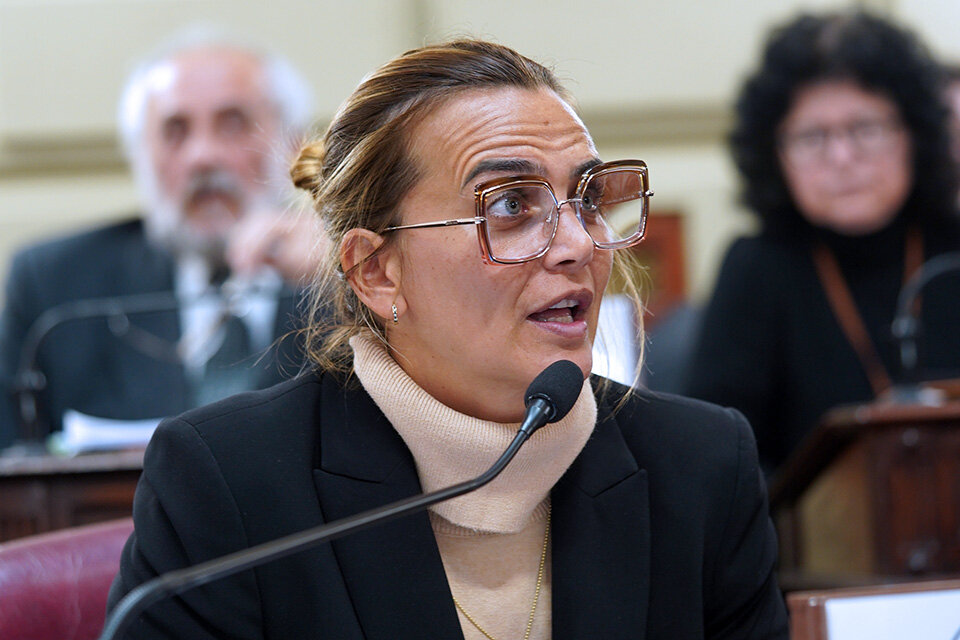 La diputada provincial del bloque Somos Vida cuestionó al gobernador. (Fuente: Prensa Diputados)