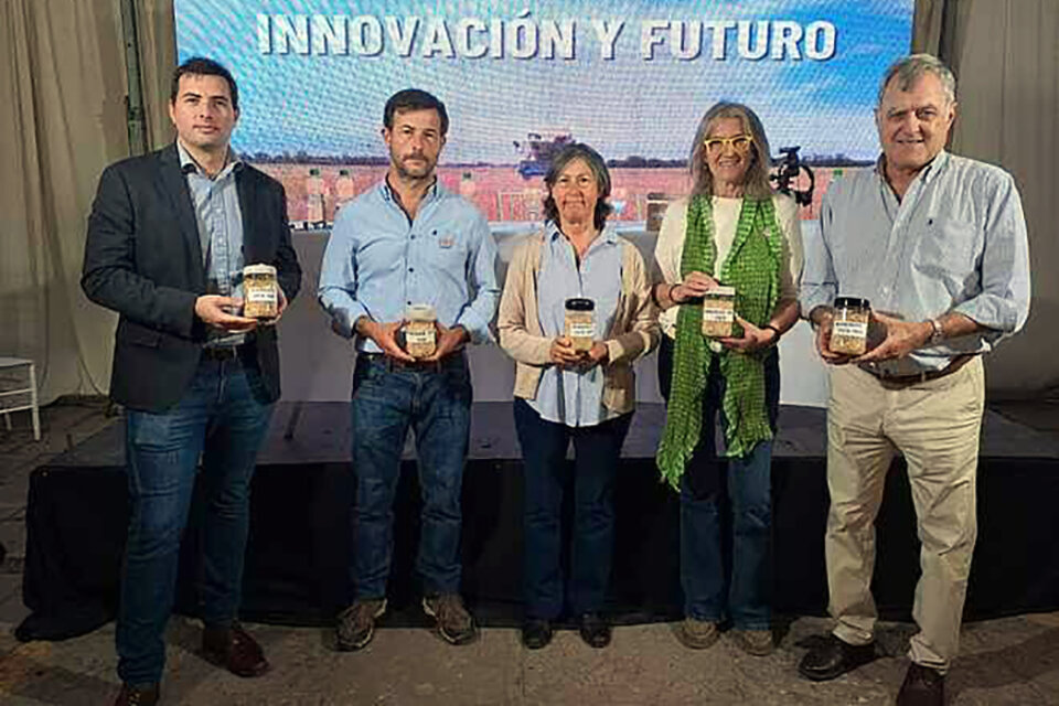 La avena Bonaerense INTA Yapa, la primera sin glutten del país.  (Fuente: Gentileza)