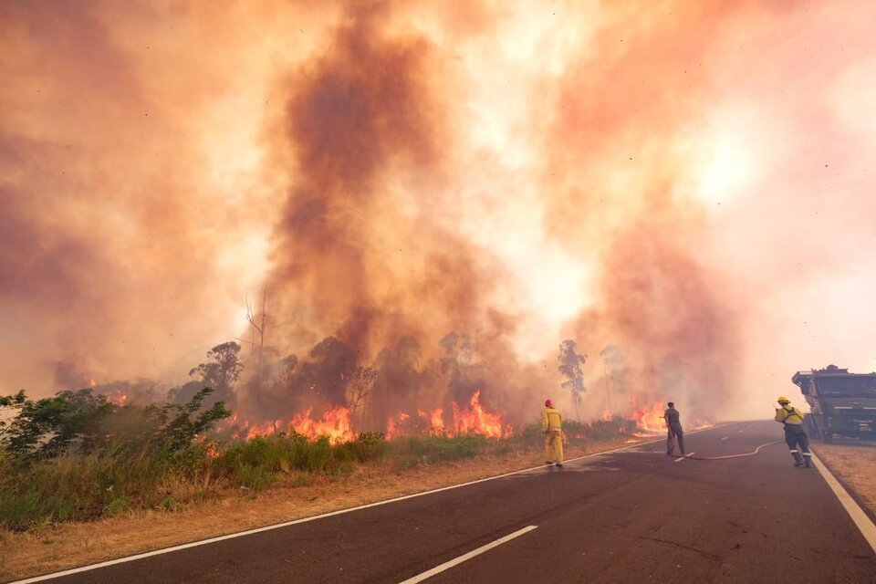 En los primeros dos meses del año los incendios en Argentina arrasaron un millón de hectáreas y en Corrientes hay 10 focos activos