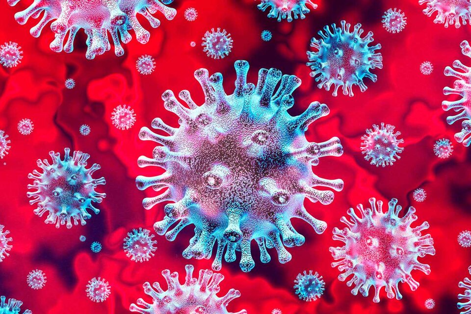 Infectólogos aseguran que la aislación va a ir "apagando el brote" del coronavirus