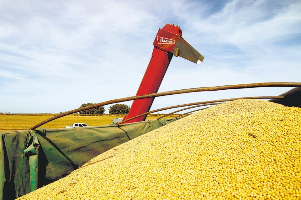 La mesa de enlace anuncia un paro de 72 horas por el cierre de exportaciones de maíz