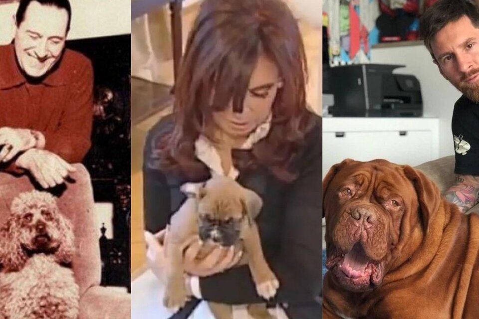 Día del Animal: de los tiernos cachorritos de Cristina Kirchner a la bestia amistosa de Messi, las mascotas de políticos y famosos