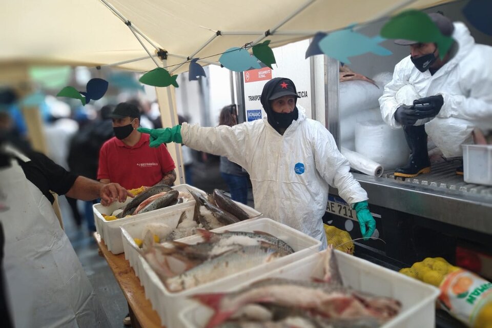 Pescadazo en el Congreso: venden 12 toneladas de productos frescos a 100 pesos el kilo