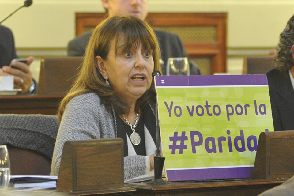 La diputada Gutiérrez impulsó la media sanción para crear el Cipgen. (Fuente: Archivo Rosariol12)