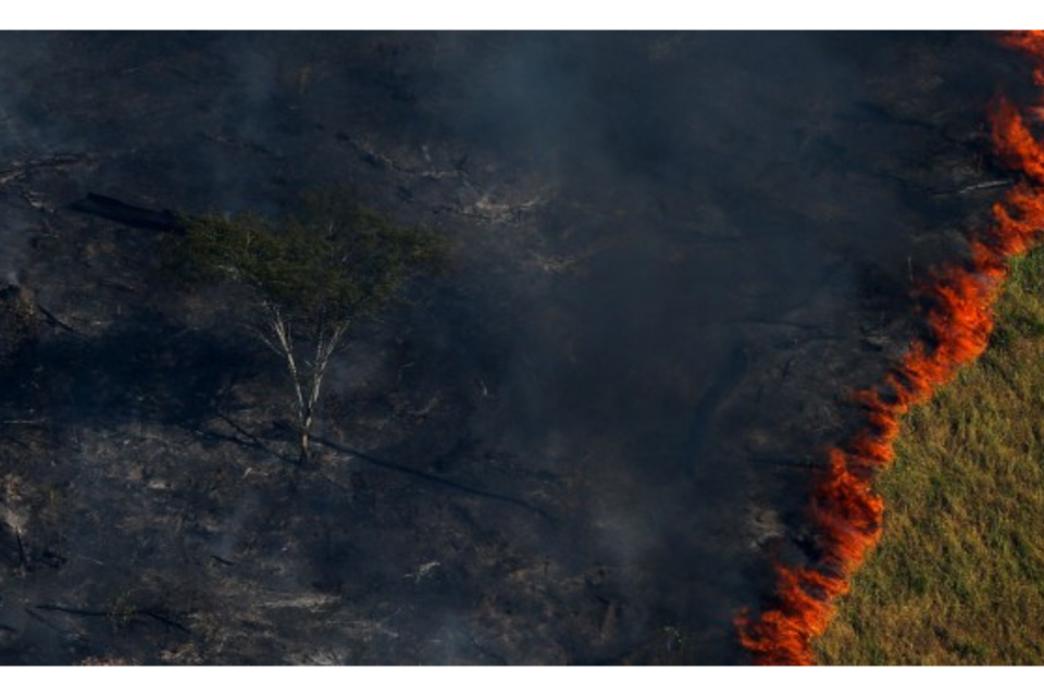 Un bosque en llamas durante la 'Operación Ola Verde' para combatir la tala ilegal en la sureña región del estado de Amazonas.