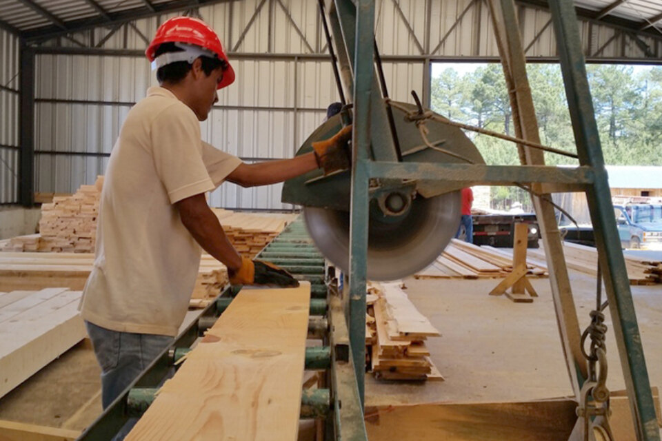 La industria de la madera registra subas de costos del 15 por ciento desde la última devaluación.