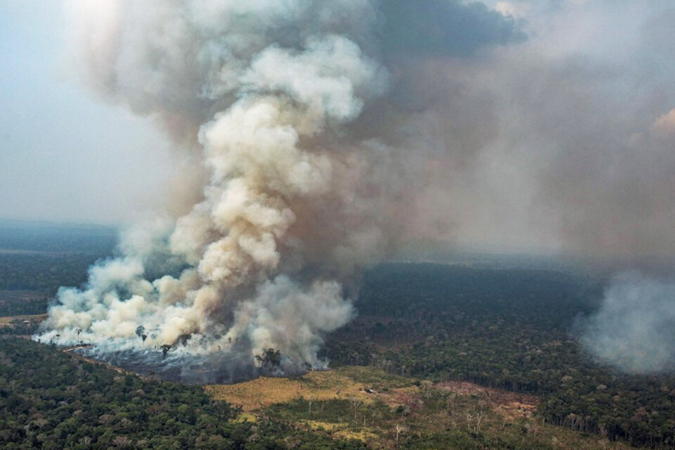 La tala y quema de terrenos amazónicos es una práctica común que permite preparar la tierra para las siembras.  (Fuente: EFE)