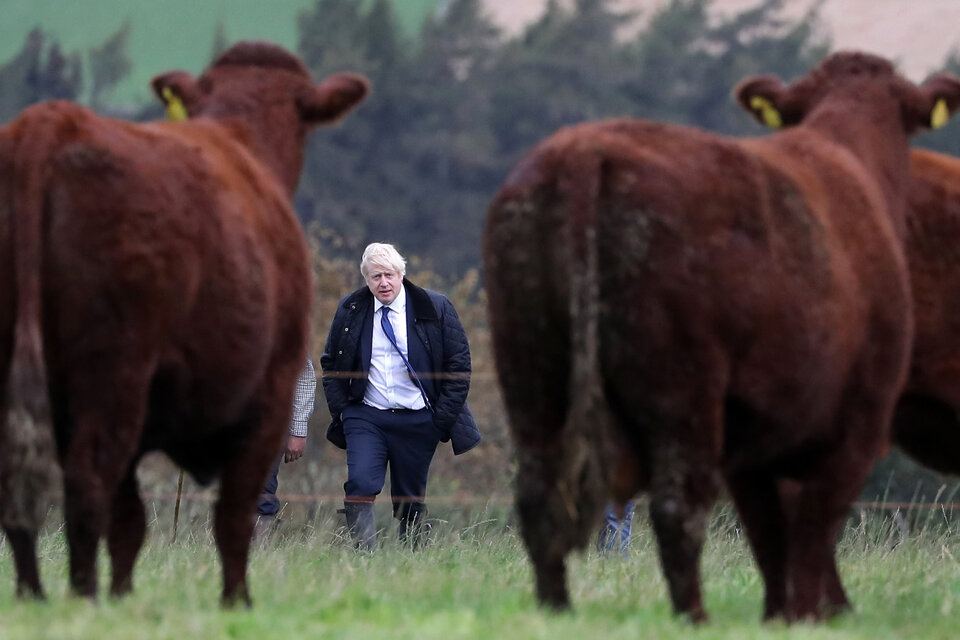 Boris Johnson visita una granja cerca de Aberdeen, Escocia. (Fuente: AFP)