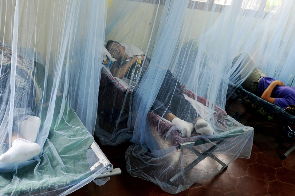 Internados por dengue en Honduras. (Fuente: EFE)