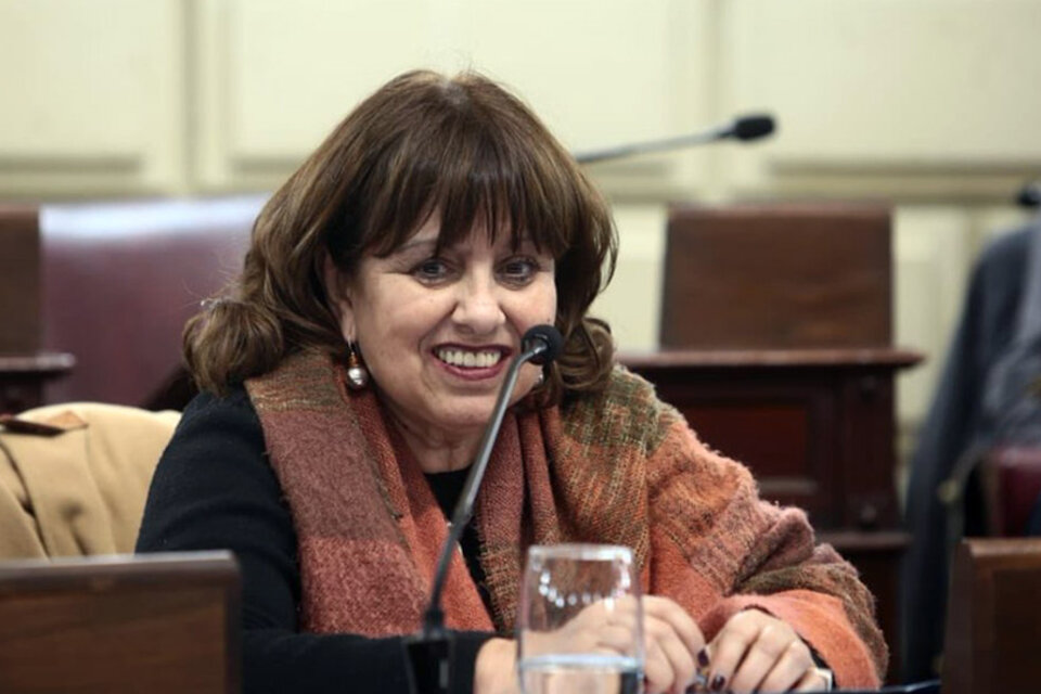 La diputada Gutiérrez presentó uno de los pedidos de informes.