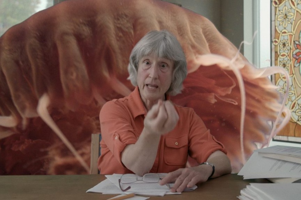 QUIEN ES DONNA HARAWAY? ¿VIVIMOS EN EL CHTHULUCEN... | Página12