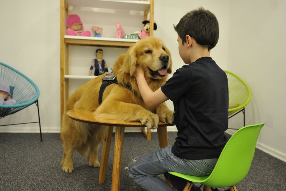 La interacción con el perro ayuda a los chicos a atravesar el momento estresante. (Fuente: Sandra Cartasso)