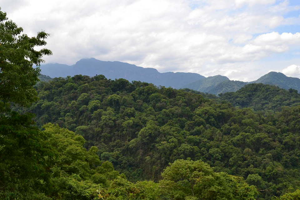 Se invirtieron menos de $30 por hectárea para conservar bosques (Fuente: Gobierno de Salta)