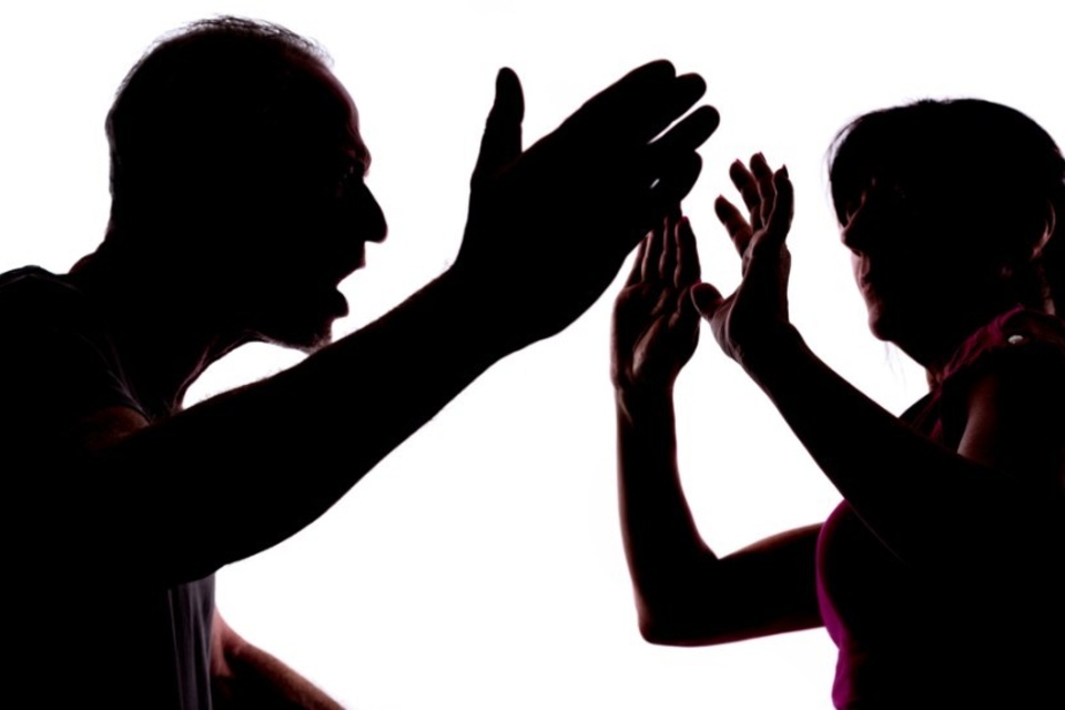 Las ex parejas fueron la mayoría de las personas agresoras.