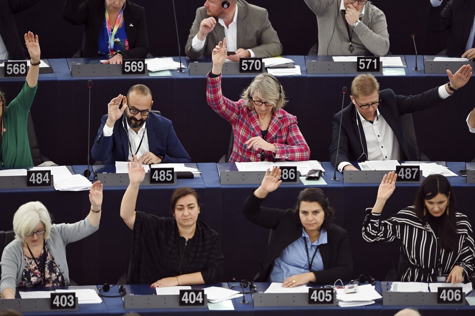 Europa declaró la "emergencia climática y ambiental"