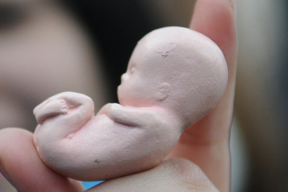 En Eslovaquia impulsan una ley para que las mujeres que aborten deban ver antes el embrión o el feto.