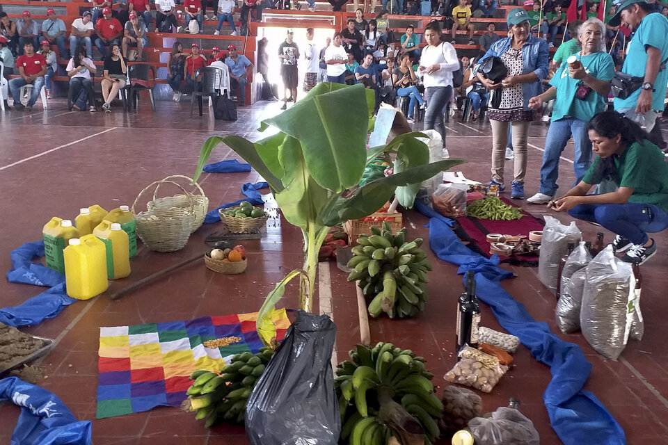 La feria en el centro del estadio 