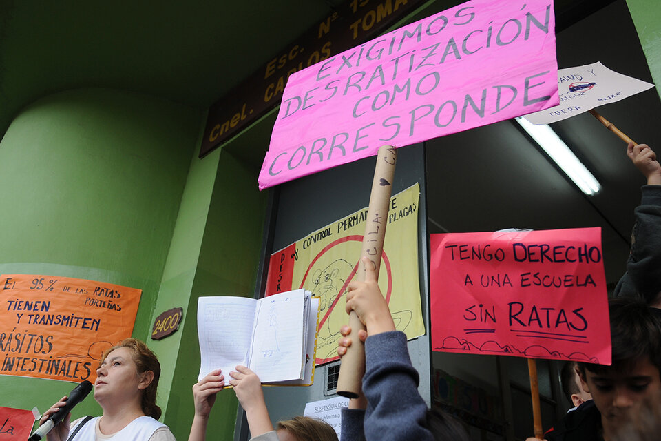 La presencia de ratas en escuelas de Caballito se reitera desde hace meses. (Fuente: Guadalupe Lombardo)