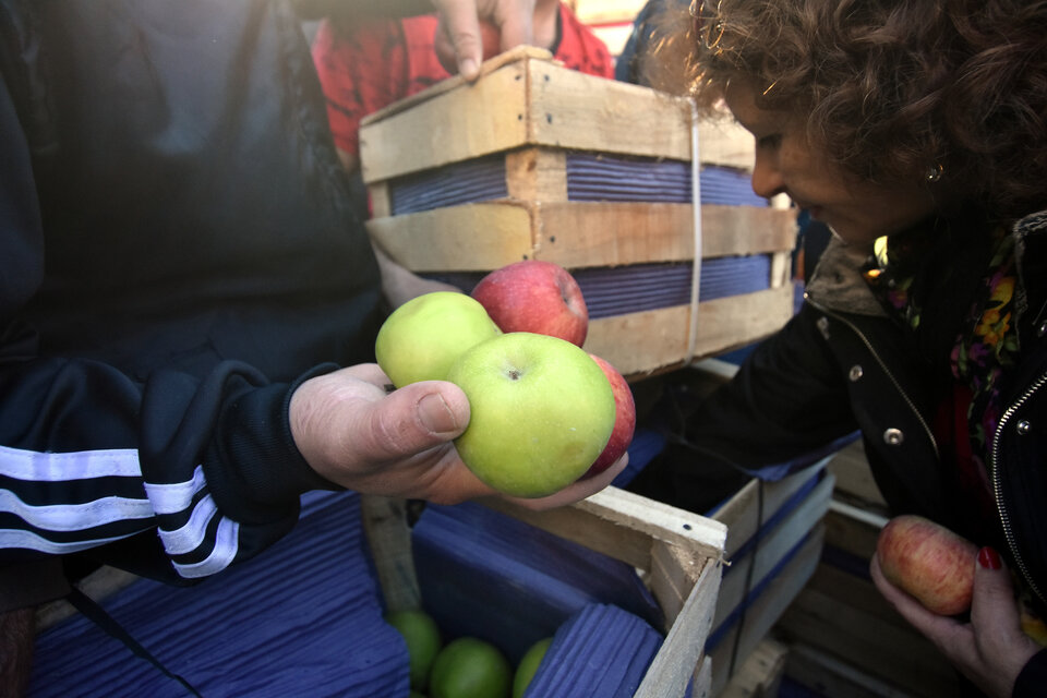 Los productores de manzanas atraviesan una difícil. 
