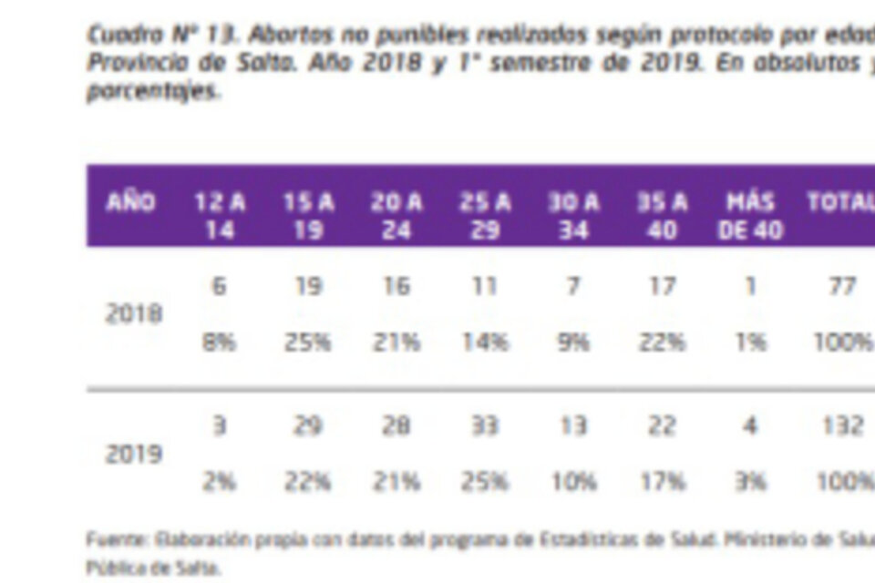 Estadística de abortos no punibles realizados en Salta durante 2018