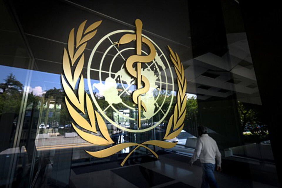 La OMS conmemoró el 40 aniversario de la erradicación de la viruela (Fuente: AFP)