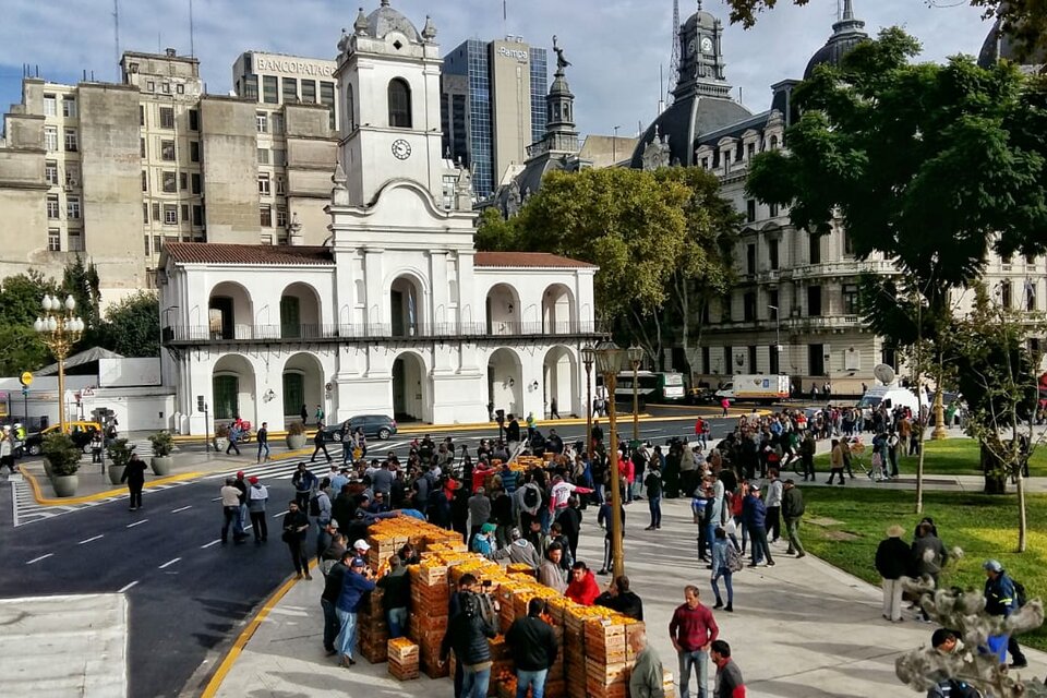 Los productores de fruta repartieron hasta 20 mil kilos de manzanas, peras, naranjas y mandarinas en la Plaza de Mayo. (Fuente:  Bernardino Ávila)