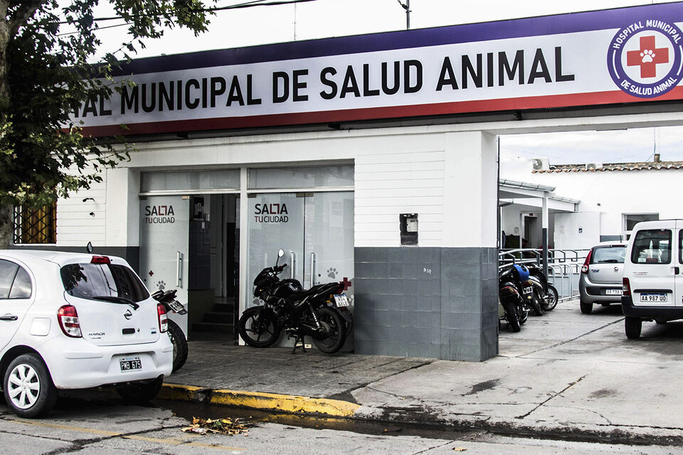 No renovaron 20 contratos en el Hospital municipal de mascotas  (Fuente: Flor Arias Bustamante)