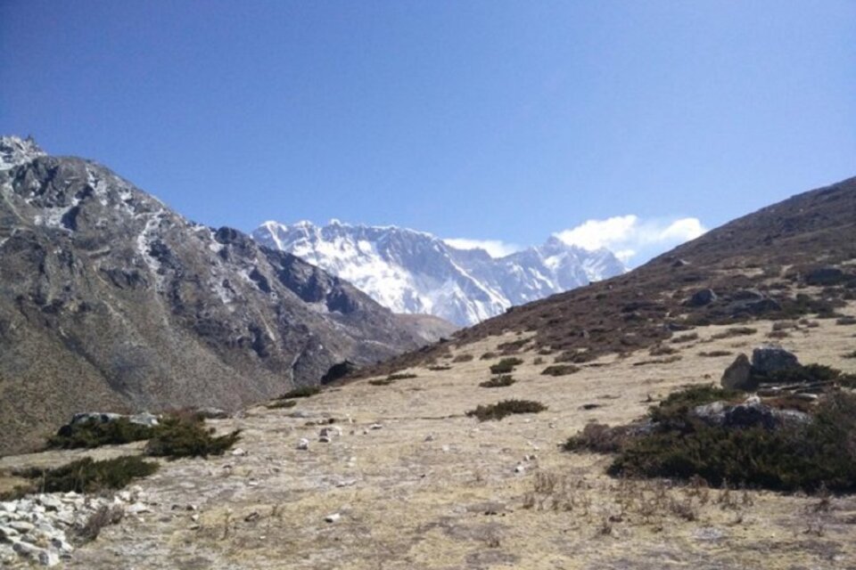 Pasto alrededor del Everest, a varios miles de metros de altura.  (Fuente: Twitter)