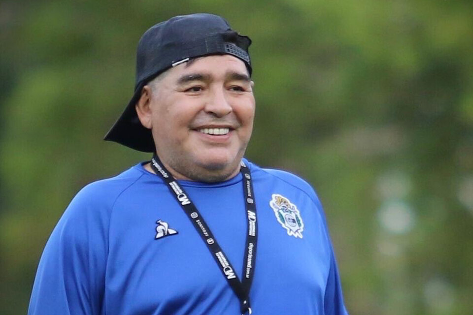 Diego Maradona, DT de Gimnasia La Plata.
