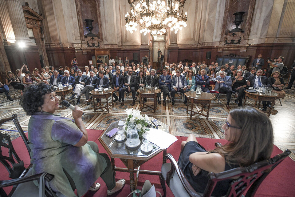 Elizabeth Gómez Alcorta y Dora Barrancos expusieron ante los senadores.  (Fuente: NA)
