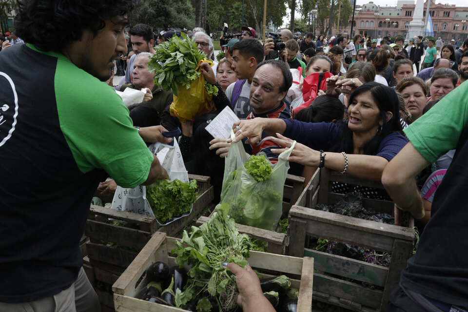 Se formaron largas filas en Plaza de Mayo para recibir las verduras. (Fuente: Bernardino Avila)