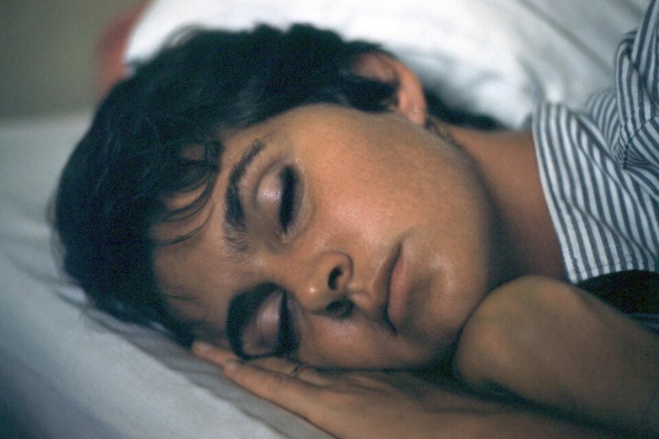 Los textos autobiográficos de Lucia Berlin | El lib... | Página12