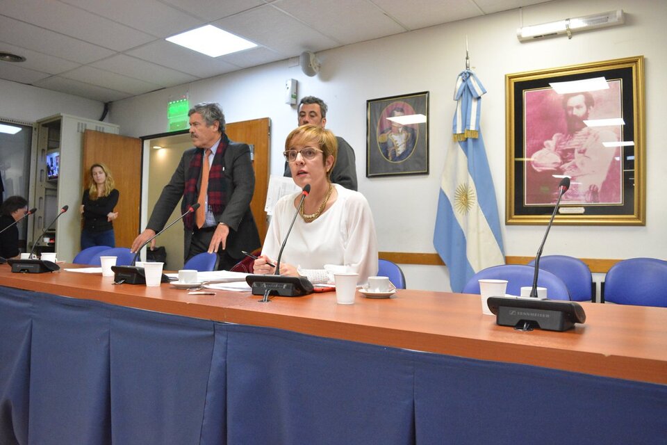 La diputada radical Gabriela Burgos, presidenta de la comisión de Legislación penal.