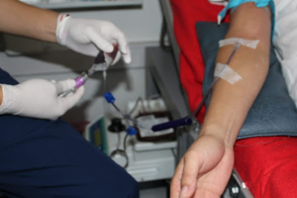 Piden a la población sana no dejar de donar sangre (Fuente: Gobierno de Salta)