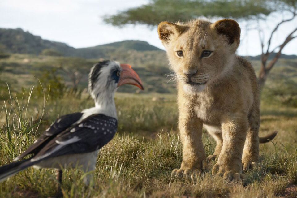 El rey León no es un documental de National Geographic. O al menos no debería serlo.