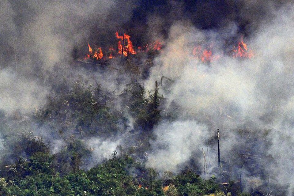 Incendios en la Amazonia.