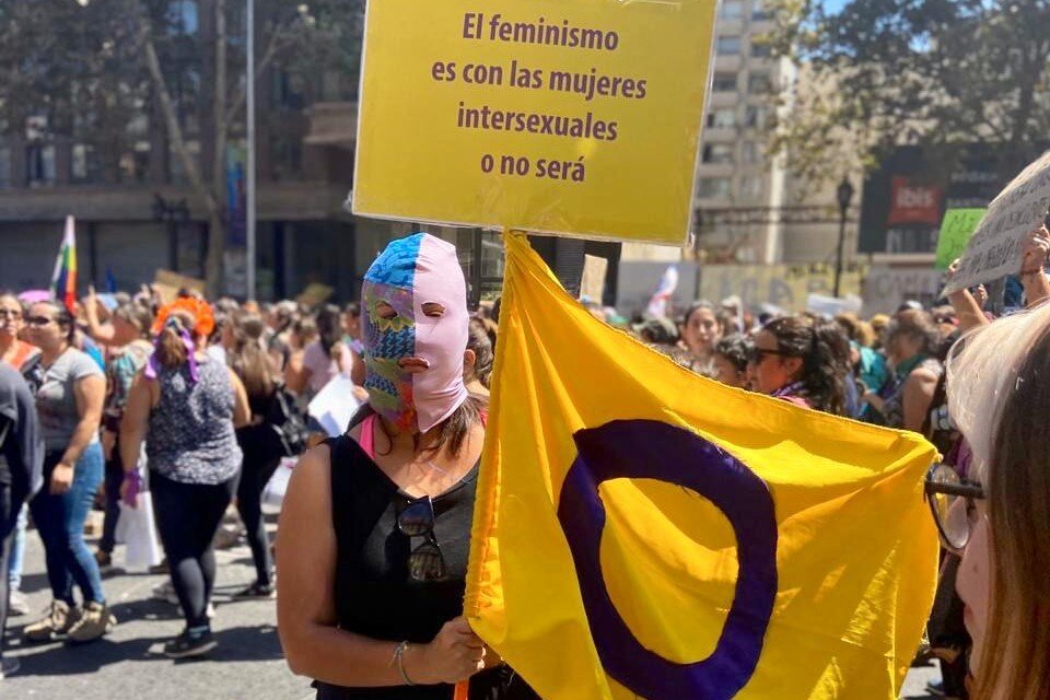 Intersexuales Chile participó de las protestas contra el presidente Sebastián Piñera llevando su propia bandera y reivindicaciones