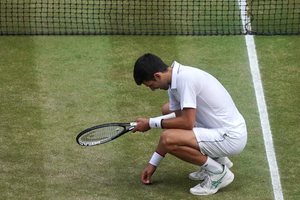 Novak Djokovic comiendo pasto, en su tradicional festejo cuando gana Wimbledon. (Fuente: EFE)