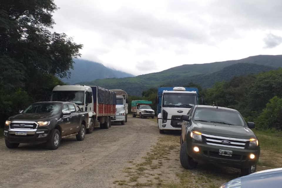 Los camiones que transportan la mercadería, llegando a Los Toldos 