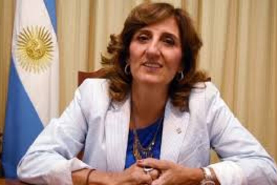 Delfina Veiravé,  presidenta del CIN.
