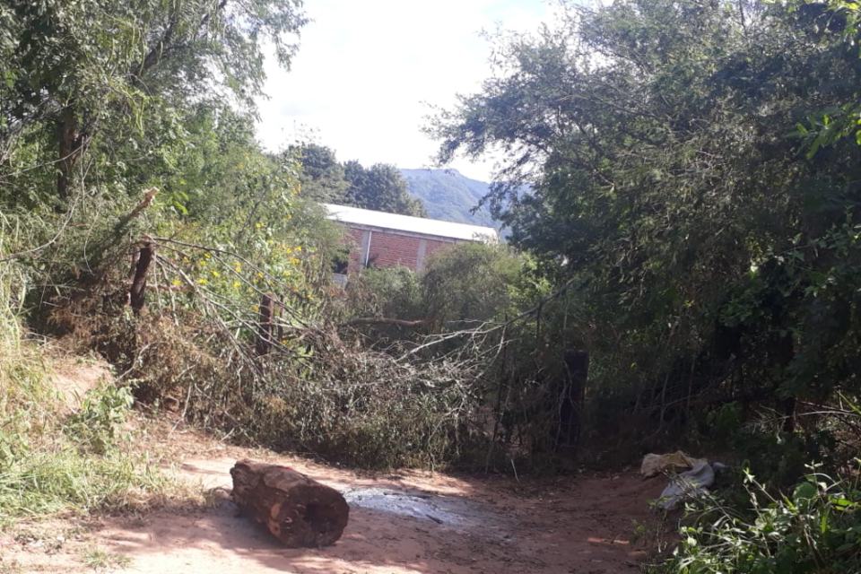 Vecinos cerraron con ramas y alambres pasos no habilitados 