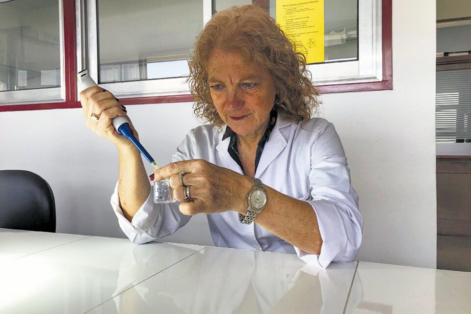 Ana María Gagneten, directora del Laboratorio de Ecotoxicología de la UNL. 