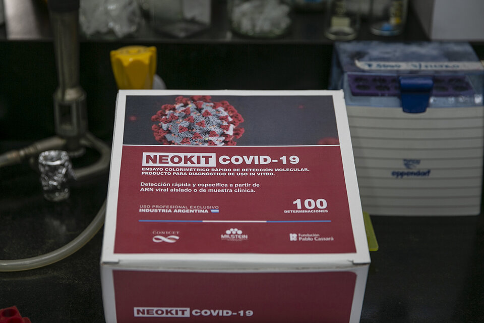 Test rápido de producción sencilla y económica el “Neokit-Covid-19” que identifica la presencia del virus.  (Fuente: NA)