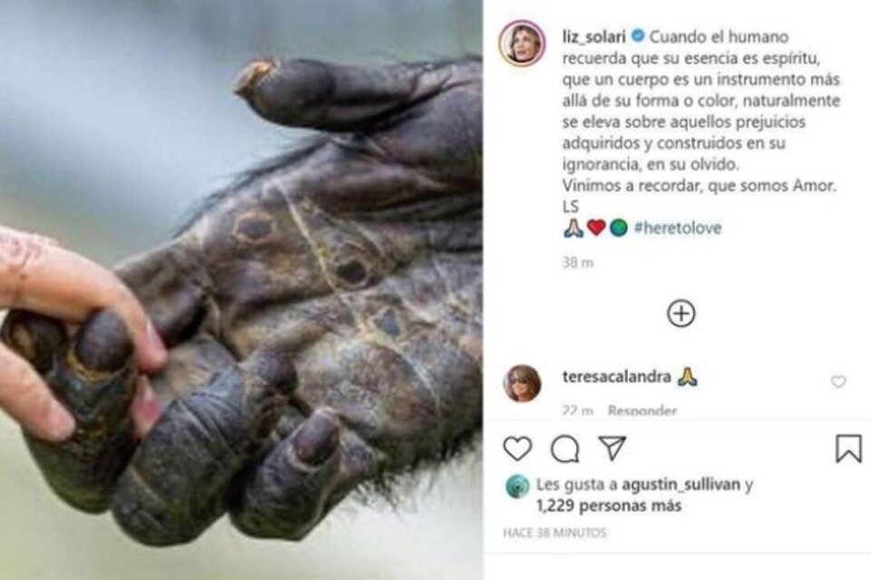 Liz Solari publicó un mensaje contra el racismo con la foto de un mono 
