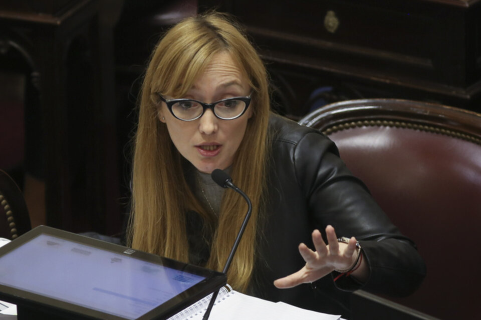 Anabel Fernández Sagasti, senadora oficialista por Mendoza.  (Fuente: NA)