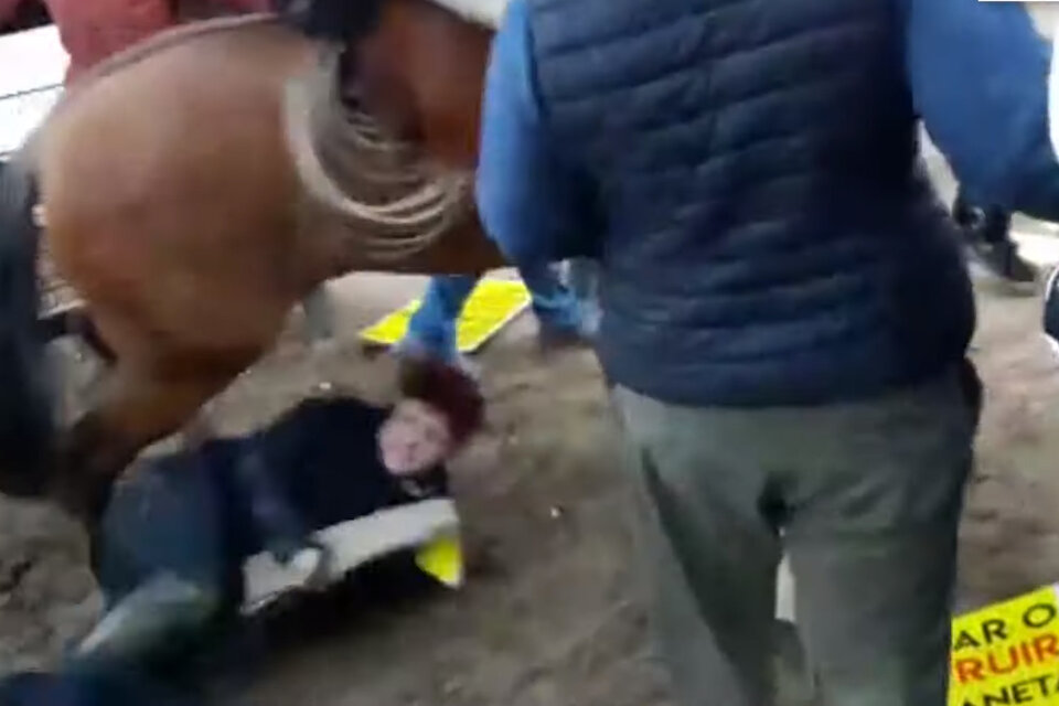 "Nos dieron fustazos, nos golpearon, nos tiraron caballos encima", denunciaron los activistas veganos.