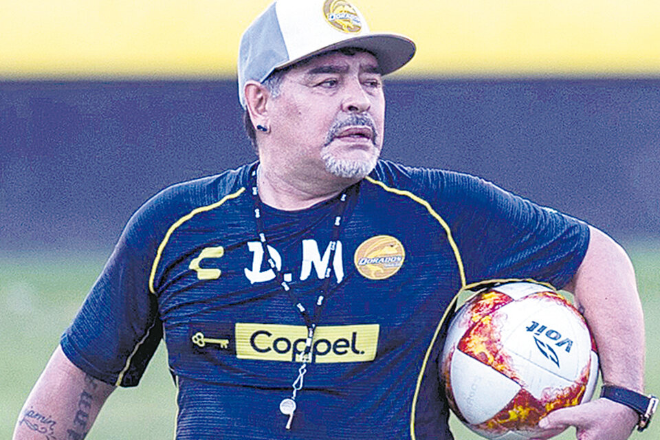 Maradona realizó una temporada notable en Dorados que no pudo coronar con el ascenso.