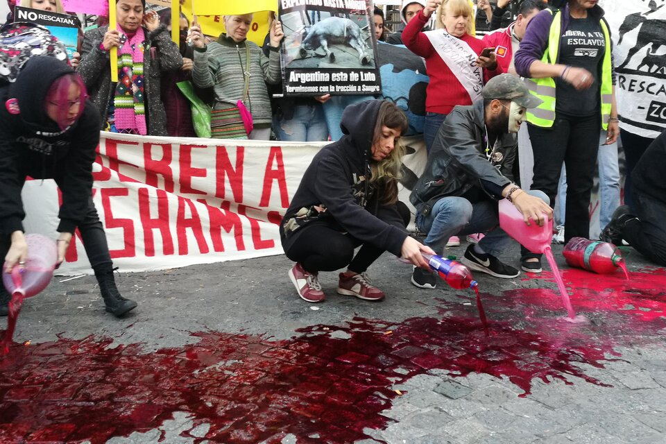 Frente al Congreso, las organizaciones animalistas protestan con sangre simbólica. (Fuente: Alejandro Leiva)