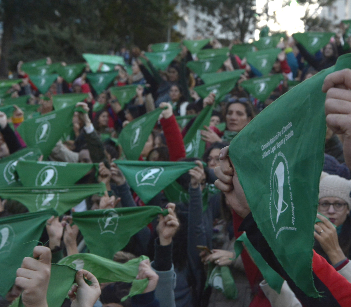 La marea verde crece y desafía al temor de dios | Página|12